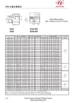 Adaptador de calibre BSP para tubos métricos