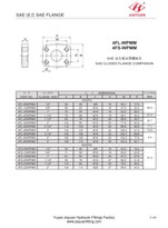 Cabeça do anel-O da flange cega de SAE